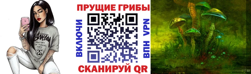 Галлюциногенные грибы Psilocybine cubensis  купить закладку  Уварово 